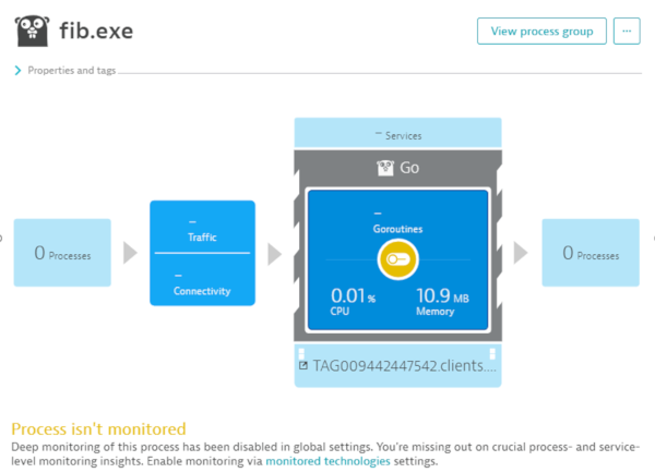 Process isn’t monitored